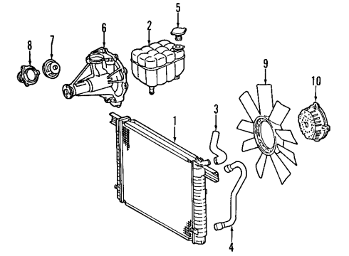 Mercedes-Benz 119-070-02-46 Cold Start Injector