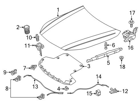 2020 Mercedes-Benz CLS53 AMG Hood & Components, Body Diagram