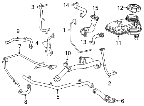 Coolant Hose Diagram for 260-203-00-82