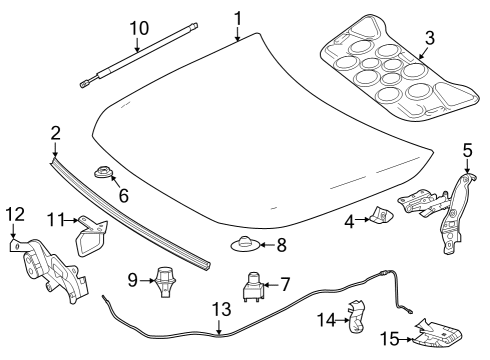 2021 Mercedes-Benz CLA250 Hood & Components, Body Diagram