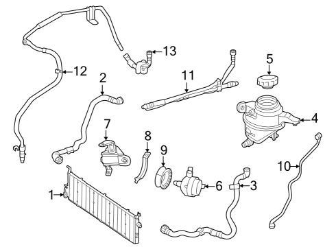 Pump Clamp Diagram for 254-501-31-01