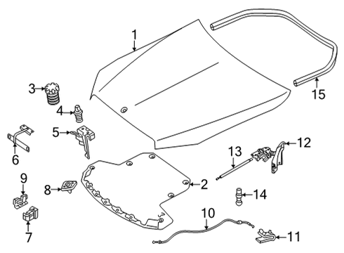 2023 Mercedes-Benz C43 AMG Hood & Components Diagram 2