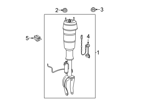 2016 Mercedes-Benz GLE550e Shocks & Components - Front Diagram 1