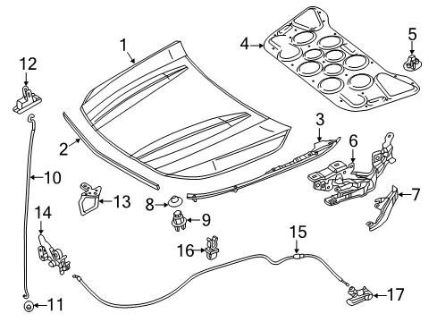 2015 Mercedes-Benz CLA250 Hood & Components, Body Diagram