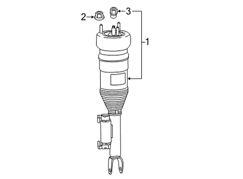 2021 Mercedes-Benz E63 AMG S Struts & Components - Front Diagram