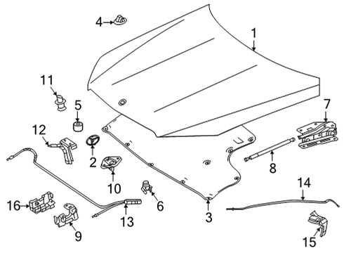 2023 Mercedes-Benz GLE63 AMG S Hood & Components Diagram 2