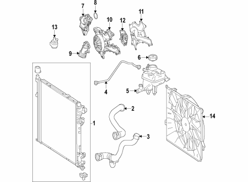 Lower Hose Diagram for 166-500-01-75