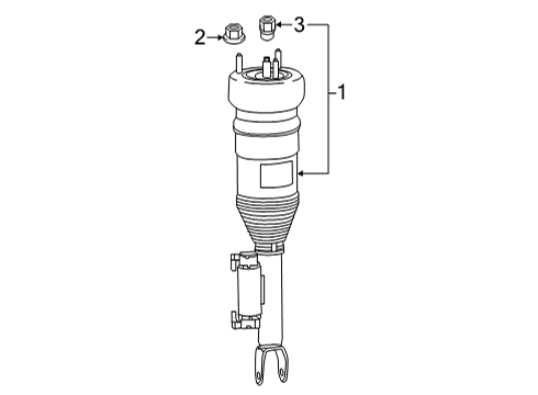 2019 Mercedes-Benz AMG GT 63 Struts & Components - Front Diagram