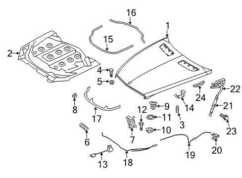 2008 Mercedes-Benz CL550 Hood & Components, Body Diagram