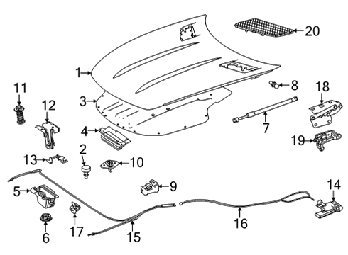 2018 Mercedes-Benz AMG GT R Hood & Components, Exterior Trim, Trim Diagram