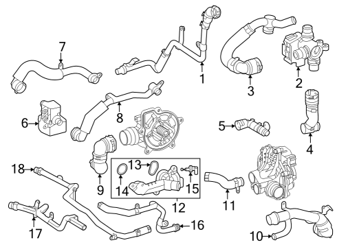 2024 Mercedes-Benz C43 AMG Hoses, Lines & Pipes Diagram