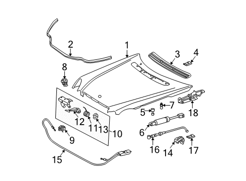 2005 Mercedes-Benz E320 Hood & Components, Body Diagram