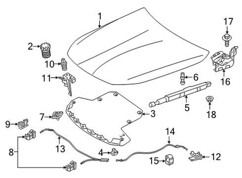 2023 Mercedes-Benz AMG GT 63 S Hood & Components Diagram