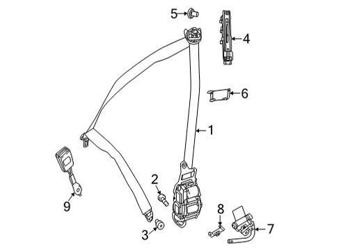 2024 Mercedes-Benz C43 AMG Front Seat Belts Diagram