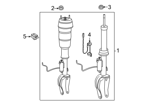 2013 Mercedes-Benz GL350 Shocks & Components - Front Diagram