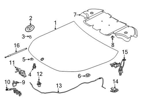 2022 Mercedes-Benz GLA35 AMG Hood & Components Diagram