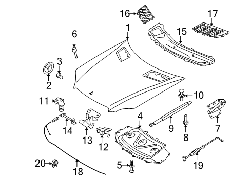 2010 Mercedes-Benz ML350 Hood & Components, Body Diagram