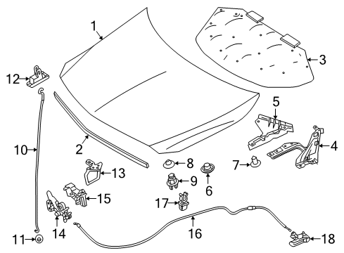 2016 Mercedes-Benz B250e Hood & Components, Body Diagram