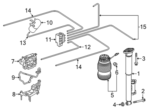 2020 Mercedes-Benz GLC63 AMG Shocks & Components - Rear Diagram 2