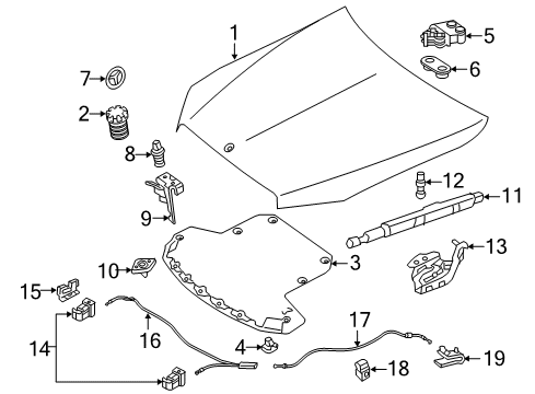 2021 Mercedes-Benz C63 AMG S Hood & Components, Body Diagram 1