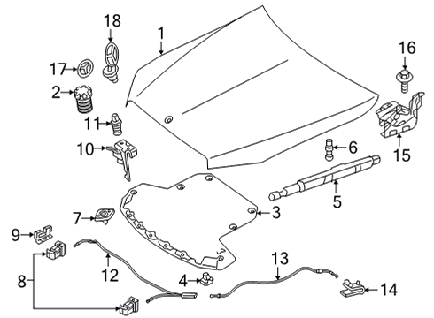 2023 Mercedes-Benz E450 Hood & Components Diagram 2