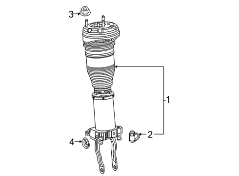 2022 Mercedes-Benz GLS63 AMG Shocks & Components - Front Diagram