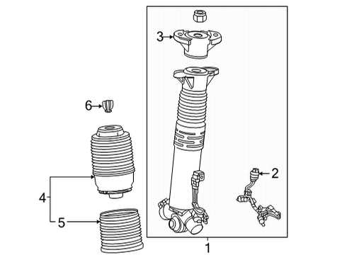 2021 Mercedes-Benz GLE580 Struts & Components - Rear