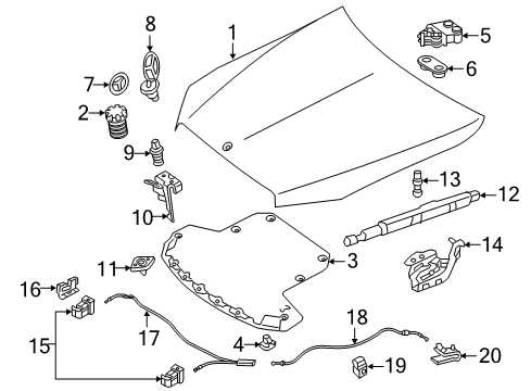 2020 Mercedes-Benz C63 AMG S Hood & Components, Body Diagram 2