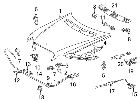 2005 Mercedes-Benz C230 Hood & Components, Body Diagram 1