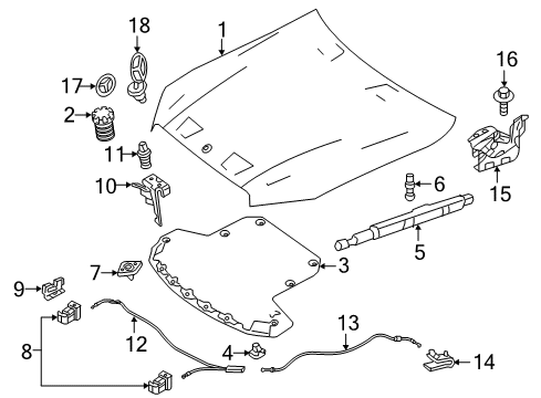 2019 Mercedes-Benz E450 Hood & Components, Body Diagram 1