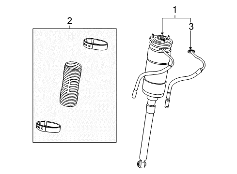 2008 Mercedes-Benz CL600 Struts & Components - Rear Diagram 1