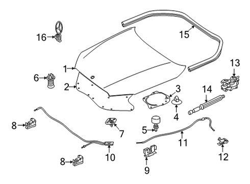 2021 Mercedes-Benz S580 Hood & Components, Exterior Trim, Trim Diagram