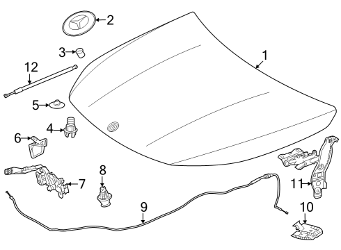 2022 Mercedes-Benz EQB 350 Hood & Components Diagram