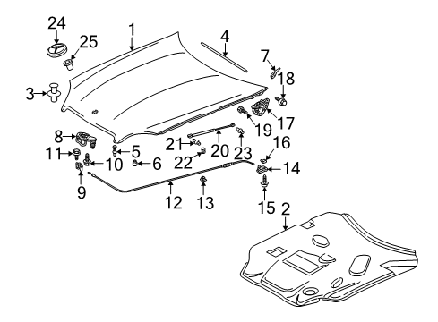 2004 Mercedes-Benz SLK320 Hood & Components, Body Diagram