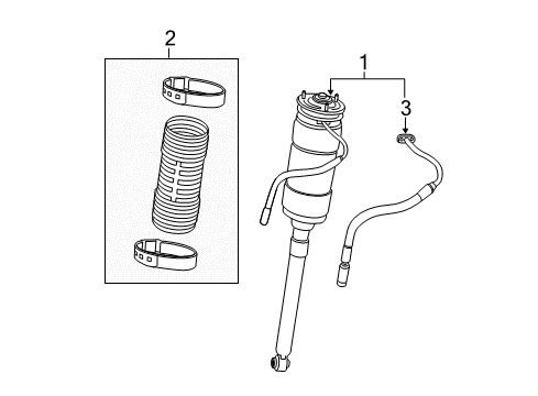 2014 Mercedes-Benz CL65 AMG Struts & Components - Rear Diagram 1