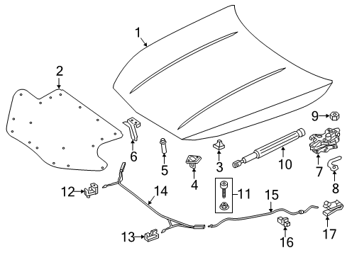 2017 Mercedes-Benz S550 Hood & Components, Exterior Trim, Body Diagram 1