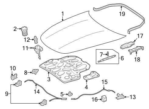 2023 Mercedes-Benz SL55 AMG Hood & Components Diagram