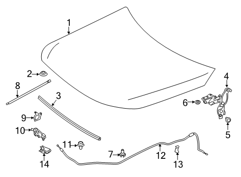 2020 Mercedes-Benz A220 Hood & Components, Body Diagram