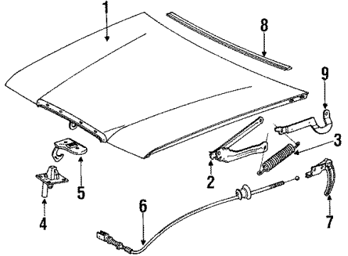 1985 Mercedes-Benz 300D Hood & Components, Body Diagram