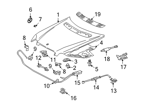 2004 Mercedes-Benz CLK55 AMG Hood & Components, Body Diagram