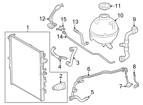 Lower Front Hose Diagram for 654-203-13-02