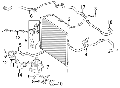 Coolant Hose Diagram for 206-501-08-02