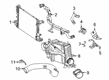 Diagram for 2023 Mercedes-Benz GLB35 AMG Intercooler Hose - 260-090-06-00