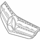 Mercedes-Benz 207-880-31-83-9040 Grille Assembly