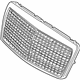 Mercedes-Benz 210-880-04-83 Grille Assembly