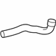 Mercedes-Benz 202-501-50-82-64 Lower Hose