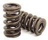 2015 Mercedes-Benz CLS550 Valve Spring